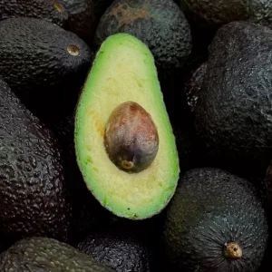 Gwen Avocado Tree Live Plant - Fruit Cuello Largo - 2ft Tall - Image 3