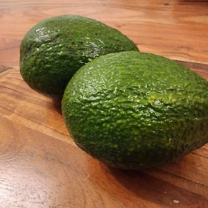 Hass Avocado Live Tree 12-24 inches – Fruit Tree for Home Garden - Image 8