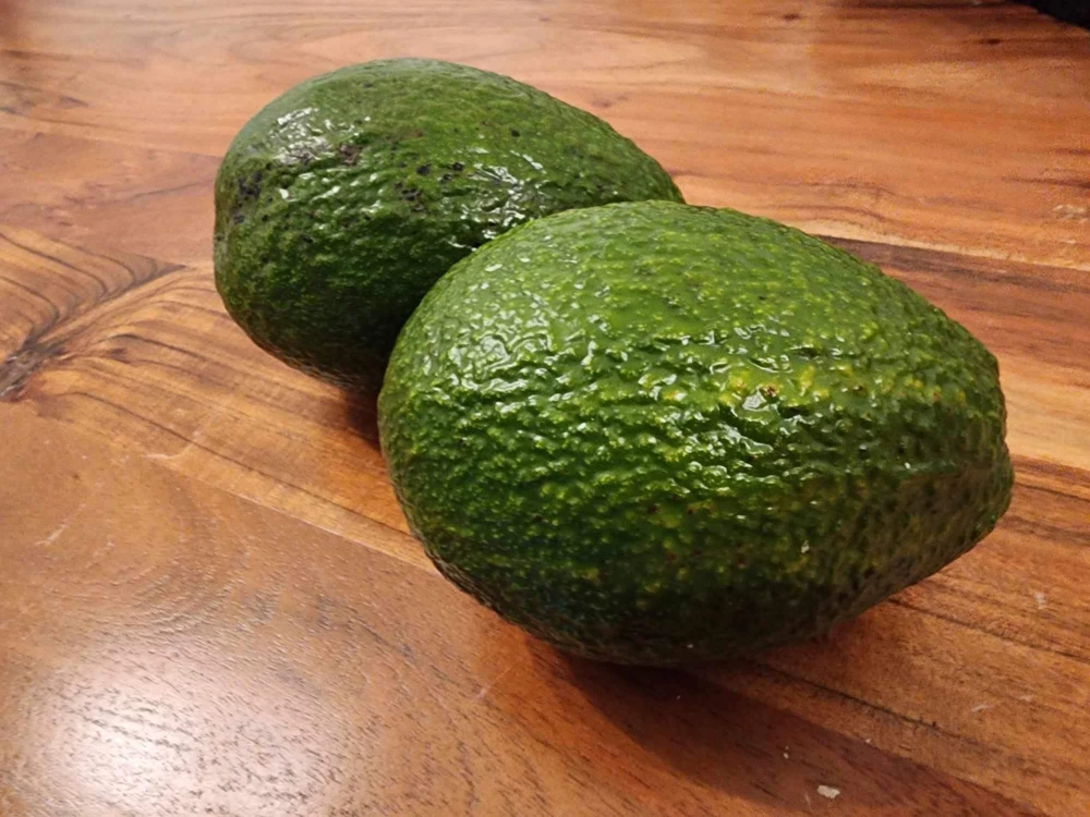 Hass Avocado Live Tree 12-24 inches – Fruit Tree for Home Garden - Image 8
