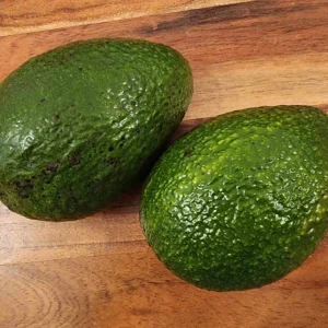 Hass Avocado Live Tree 12-24 inches – Fruit Tree for Home Garden - Image 9