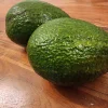 Hass Avocado Live Tree 2 ft - Fruit Bearing Plant for Home Garden - Image 1