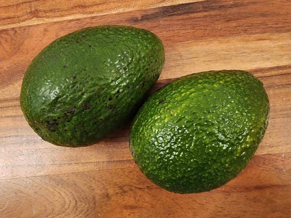 Hass Avocado Live Tree 30-48in - Grafted Persea Americana Fruit Plant - Image 10