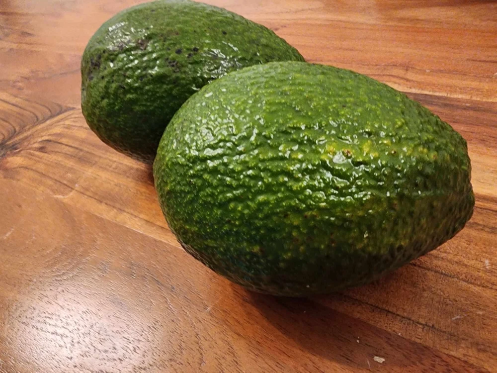 Hass Avocado Live Tree 30-48in - Grafted Persea Americana Fruit Plant - Image 8