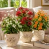 Jasmine Live Plants – 3 Pack – White, Red, Orange Blooming – 4-8 Inch Tall Tropical Plant - Image 1
