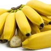 Lady Finger Banana Tree – Musa acuminata Live Plant – 10-18 inches tall – Fruit Tree - Image 1
