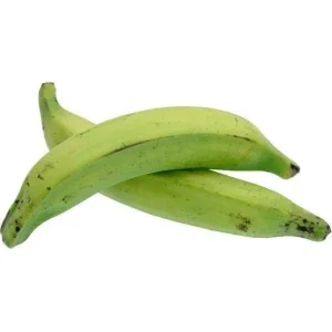 Macho Plantain Live Plant (Musa Balbisiana) 10-18 inches Tall - Image 3