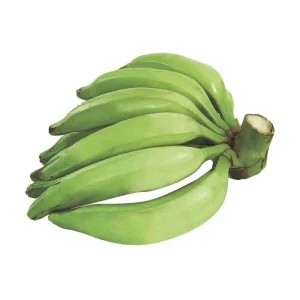 Macho Plantain Live Plant (Musa Balbisiana) 10-18 inches Tall - Image 4