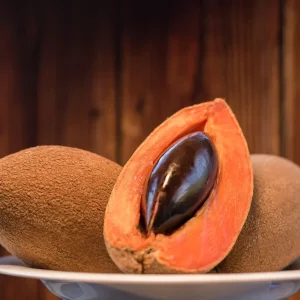 Mamey Sapote Live Tropical Fruit Tree 12-24 inch - Pouteria sapota - Image 4