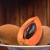Mamey Sapote Live Tropical Tree – Fruit Plant – 20-30 inches tall – Outdoor - Image 1
