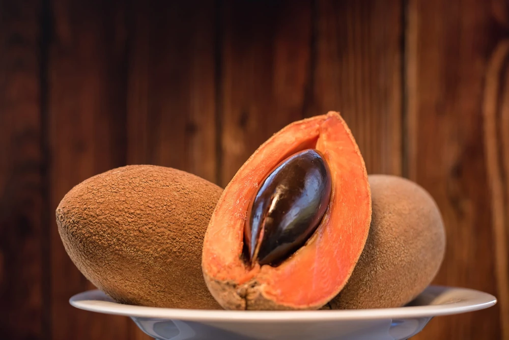 Mamey Sapote Live Tropical Tree – Fruit Plant – 20-30 inches tall – Outdoor - Image 1