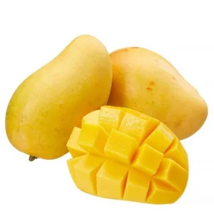 Manila Mango Tree Seedling Live Plant - Fast-Growing, High-Yield - Image 2