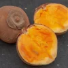 Matisia Cordata Live Tree - Zapote Sudamericano Tropical Fruit Plant 1FT - Image 1