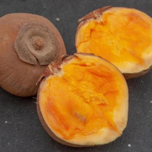 Matisia Cordata Live Tree - Zapote Sudamericano Tropical Fruit Plant 1FT - Image 1