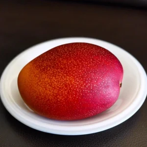 Miyazaki Mango Tree Live Plant – Egg of the Sun Variety – Grafted – 2-3 ft Tall – Tropical Fruit Tree - Image 2