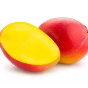 Palmer Mango Tree Live Plant 10-24in - Sweet Tropical Fruit Tree - Image 4