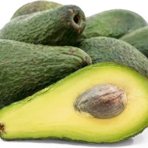 Pinkerton Avocado Live Tree - Grafted Fruit Tree - Persea Americana - Image 3