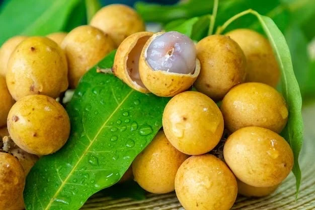 Pitomba Live Tree - Eugenia luschnathiana - 2 Ft Fruit Plant - Image 5