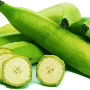 Plantain Live Fruit Plant - Musa paradisiaca - 10-18 inch Potted - Image 3