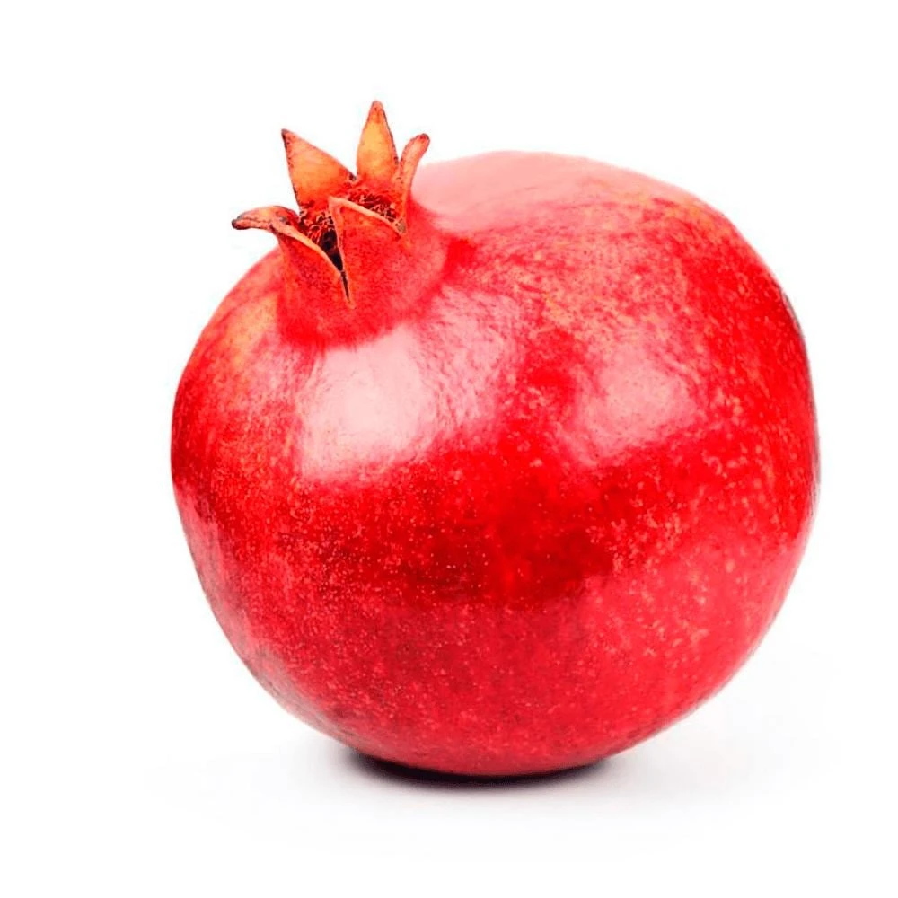 Pomegranate Tree Live Plant - Punica granatum - 2-3ft Tall Tropical Fruit Tree - Image 2