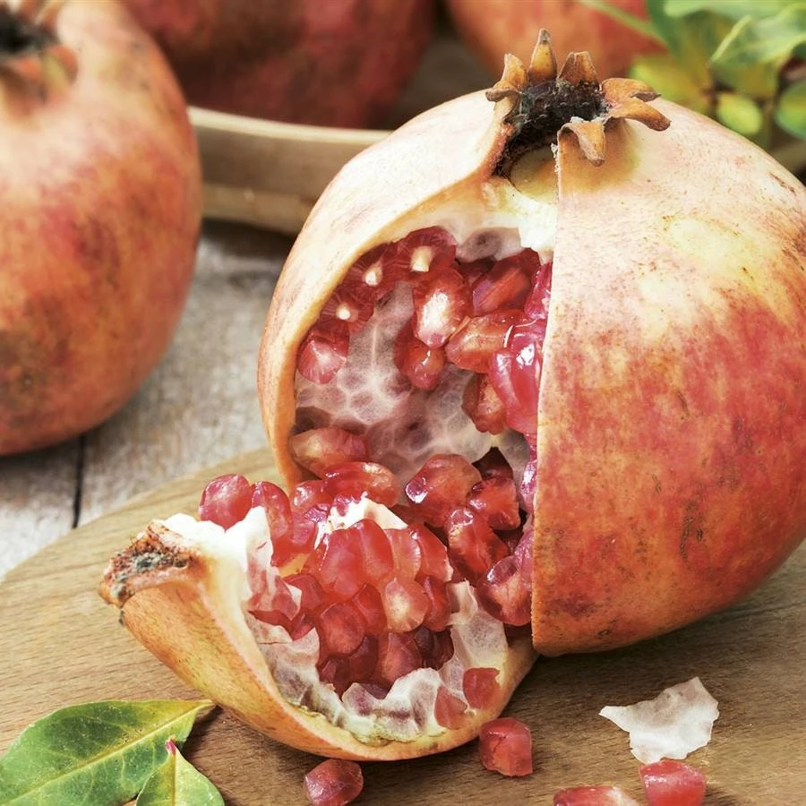 Pomegranate Tree Live Plant - Punica granatum - 2-3ft Tall Tropical Fruit Tree - Image 4