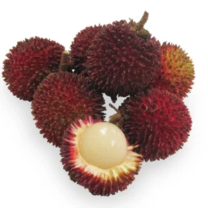 Pulasan Live Fruit Tree - Nephelium Mutabile - 30-38 inch Plant - Image 4