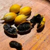Randia Formosa Live Plant - Blackberry Jam Fruit Tree (10 inch-1ft) - Image 1