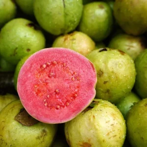 Red Guava Live Fruit Tree - Indian Guayaba Plant (3-4ft) - Image 5