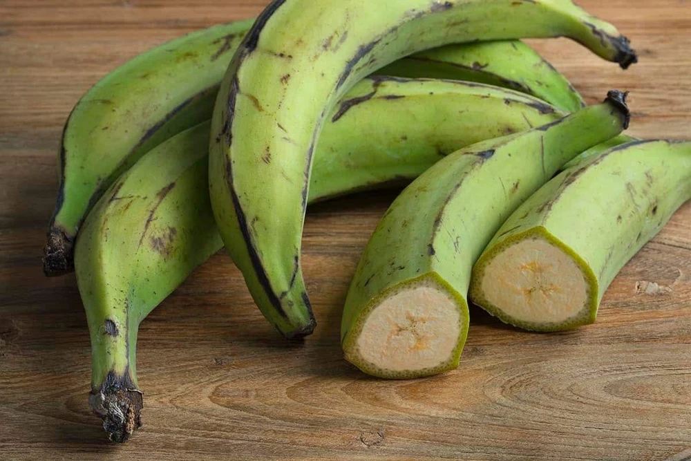 Rhino Horn Plantain Fruit Plant (Musa Acuminata Balbisiana) 10-18in Live Plant - Image 7