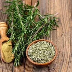 Rosemary Live Plant - Rosmarinus officinalis (10" to 20") - Culinary Herb - Image 4
