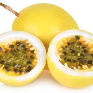 Set 2 Yellow Passionfruit Live Plants for Planting, 4-8 Inch Tall, No Pot - Image 4