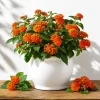 Set of 2 Bright Orange Lantana Live Plants, 4-7 Inches Tall, Outdoor Flowering Shrub - Image 1