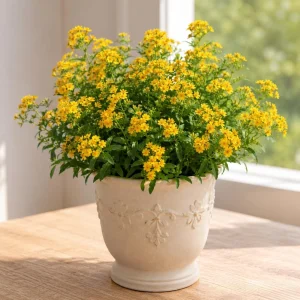 Set of 2 Texas Tarragon Plants Live, 4-8 Inch Tall, Fragrant Perennial Herb - Image 7
