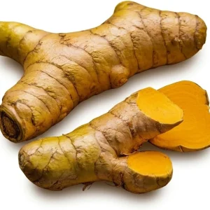 Set of 2 Yellow Turmeric Live Plants, 4-7 Inch Starter Herb for Garden & Patio - Image 4