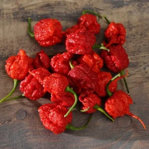 Set of 4 Carolina Reaper Pepper Plants Live - Hot Chili Peppers, 4-6 Inch Tall - Image 7