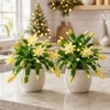 Set of 4 Yellow Christmas Cactus Live Plants – 4-8 Inch Tall Tropical - Image 1