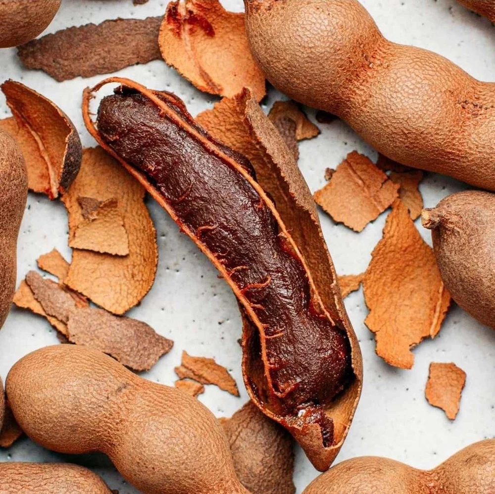 Tamarind Live Fruit Tree (Tamarindus indica) - Tropical Edible Fruit Plant 10-24 Inches - Image 2
