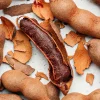 Tamarind Tree Live Plant – Tamarindus indica – 2-3 Feet Tall – Fruit Bearing - Image 1