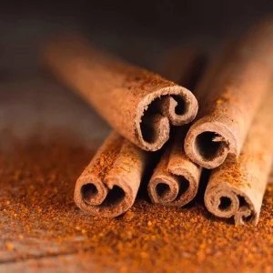 True Cinnamon Tree Live Plant (Cinnamomum verum) 2-3ft Tall - Grow Your Own Spice - Image 2