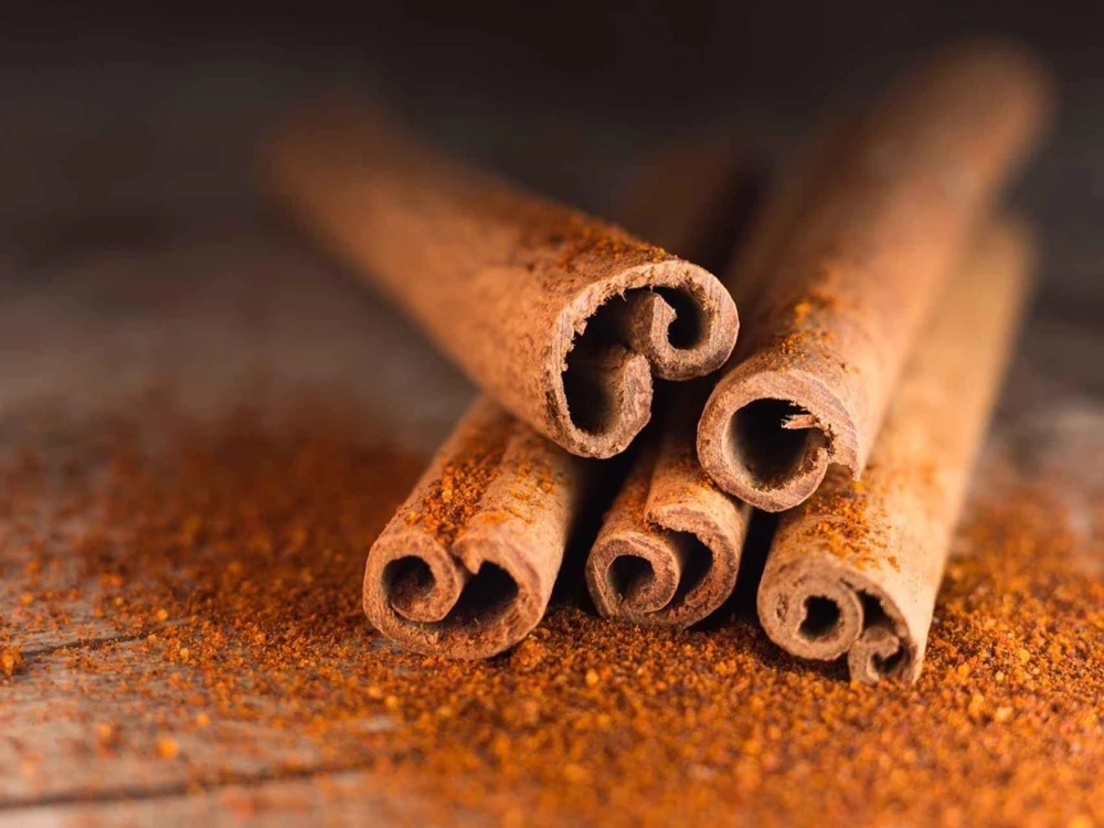 True Cinnamon Tree Live Plant (Cinnamomum verum) 2-3ft Tall - Grow Your Own Spice - Image 2