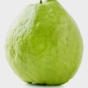 White Pear Guava Live Tree - Psidium Guajava Tropical Fruit Plant, 24-32 inches Tall - Image 3