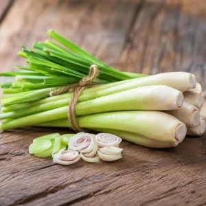 2 Lemongrass Live Plants – 4-6 Inch Tall Fragrant Herb for Containers & Outdoors - Image 5