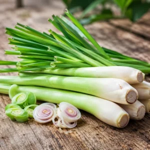 Lemongrass Live Plants - Pack of 2, 4-6 Inch Tall, Fragrant Herb for Indoor & Outdoor - Image 6