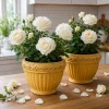 Set of 2 White Climbing Roses Live Plants - Fragrant Perennial Bush, 2-4 Inch Tall - Image 1